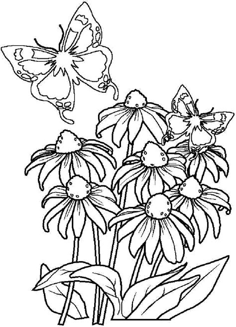 coloring page bouquet  flowers png