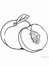 Peach Coloring Pages Fruit Peaches Print sketch template
