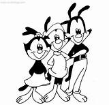 Coloring Pages Warner Animaniacs Family Xcolorings 81k 1000px Resolution Info Type  Size Jpeg sketch template