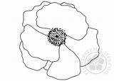 Poppy Flower Template Coloring Pdf sketch template