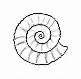 Shell Seashell Drawing Sea Shells Nautilus Line Getdrawings Draw Clipartmag Coloring Pages sketch template