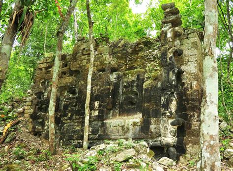 ancient mayan cities discovered deep  mexican jungle nbc news