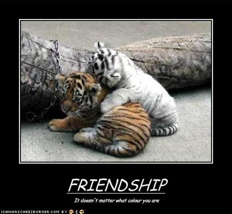 funny pictures funny friends pictures funny friend pictures