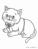 Cat Coloring Pages Splat Color Elegant Pet Printable Print Drawings Kids Animals Getcolorings Kitty Colouring Choose Board sketch template