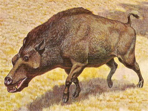 suggestion dinohyus  hell pig prehistoric mammal  knocking