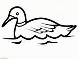 Bebek Mewarnai Berenang Uccelli Marimewarnai Ptica Rata Goose Colorat Planse Ptice Pato Bojanke Copilul Crtež Stampa Alte sketch template