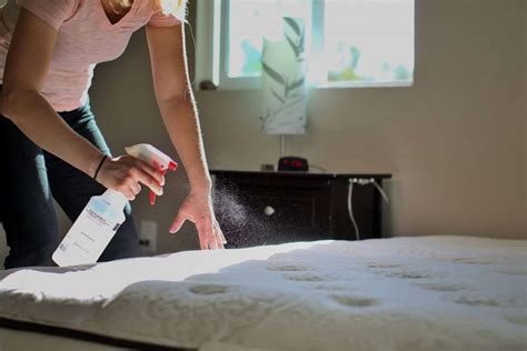 How To Wash A Mattress Protector And Topper Homeviable