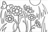 Amaxkids Cornflower Freebies Coloringpages sketch template