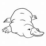 Platypus Duckbill Beak Billed sketch template