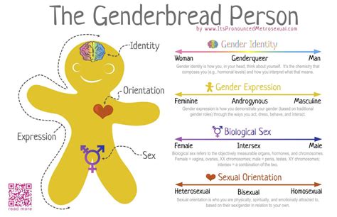 Understanding Gender Identity And Gender Expression Suny Geneseo