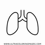 Lungs Tobacco sketch template