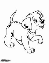 Coloring Pages Dalmatians Puppy Disneyclips sketch template