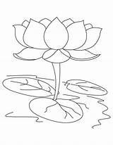Lotus Coloring Flower Pages Color Sacred Drawing Indian Colouring Clipart Sheet India Template Kids Printable Sketch Girl Getcolorings Hindu Getdrawings sketch template