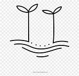 Sprouts Pinclipart sketch template
