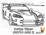Viper Srt Acrx Fired Eyeb Yescoloring Designlooter sketch template