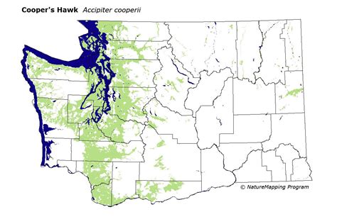 distribution map coopers hawk accipiter cooperii