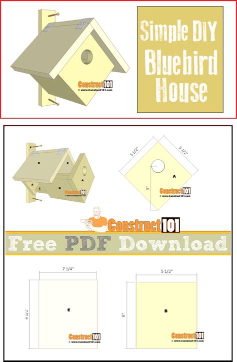 simple bluebird house   construct