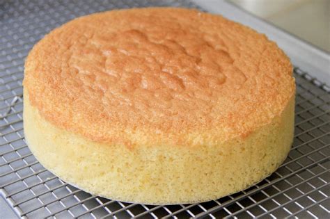 quick  easy recipe  sponge cake
