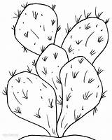 Cactus Kaktus Nopal Cool2bkids Ausmalbilder Ausdrucken Sheets Malvorlagen Kostenlos Coloringfolder sketch template