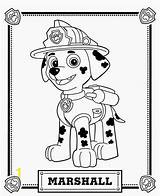 Coloring Marshall Truck Fire Patrol Paw Pages Bday Jackson Divyajanani sketch template