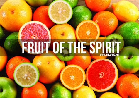 fruit   spirit biblwordnet