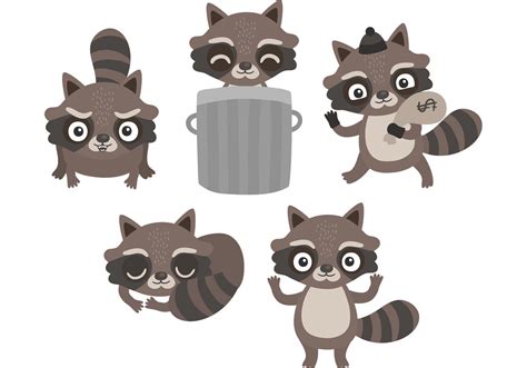 raccoon cartoon  vector art   downloads
