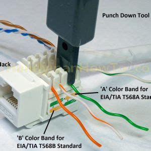 cat socket wiring diagram  wiring diagram