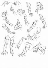 Bambs79 Brazos Sketchbook Draw Dbz Perspective Anatomia Braccio Salvato Disegnare sketch template