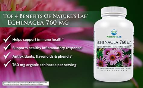 nature s lab echinacea 760mg supports immune system health