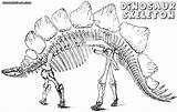 Dinosaur Skeleton Coloring Bones Pages Print Drawing Getdrawings sketch template