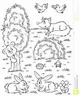 Coloring Pages Woodland Animals Forest Animal Deciduous Color Getdrawings Getcolorings Brilliant Urgent Ba Luxury Print Printable Birijus sketch template