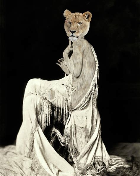 Seductress Lioness Digital Art By Loveday Funck Fine Art America