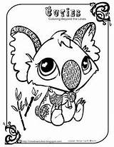 Koala Cuties Mandalas Littlest Koalas Zentangle Duilawyerlosangeles Bezoeken Petshop sketch template
