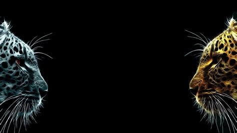 3840X2160 Monitor Wallpapers - Top Free 3840X2160 Monitor Backgrounds