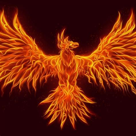 blazing phoenix youtube
