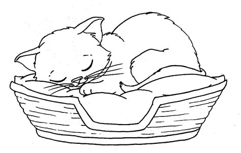 cat coloring pages yahoo image search results kitten coloring book