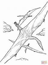 Coloring Pages Quetzalcoatlus Dinosaur Pterodactyl Colouring Printable Pterosaur Dinosaurs Color Print Kids Drawing Flying Gif Dino Cut sketch template