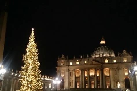 pope francis explains symbolism  vatican christmas tree  sand nativity