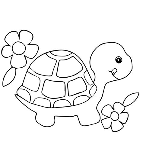 turtle coloring pages preschool coloring pages