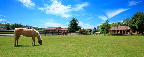 horse farm insurance property  liability protection