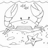 Crab Caranguejo Crabe Hermit Colorir Coloriage Coloriages Animaux Mewarnai Binatang Hidup Alia Bermain Kelompok sketch template