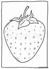 Erdbeere Malvorlage Ausmalbild sketch template