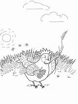 Hen Red Little Wheat Coloring Pages Gathering Template Puppets Color sketch template