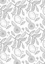 Coloring Summer Fruit Pages Dover Publications Sheets Doverpublications Welcome Book Visit Food sketch template