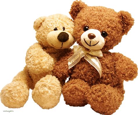 collection  teddy bear png png pluspng