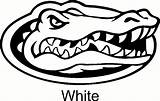 Gators Florida Logo Drawing Gator Silhouette Car Coloring Decal Pages Template Vinyl Sticker Getdrawings Paintingvalley Drawings Sketch sketch template