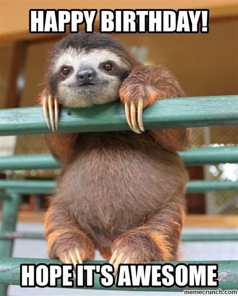 happy birthday slothjpg  happy birthday pinterest sloth