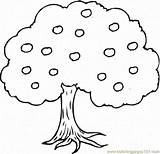 Apple Tree Trees Coloring Printable Pages Color Online Natural sketch template