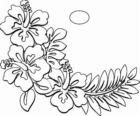 florida state flower coloring page  hawaii flag coloring pages