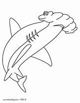 Requin Marteau Coloriage Aplemontbasket Getdrawings sketch template